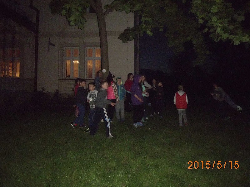 3.JPG